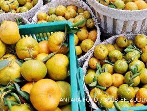 Terkait kimia berbahaya, AS hentikan impor jus jeruk