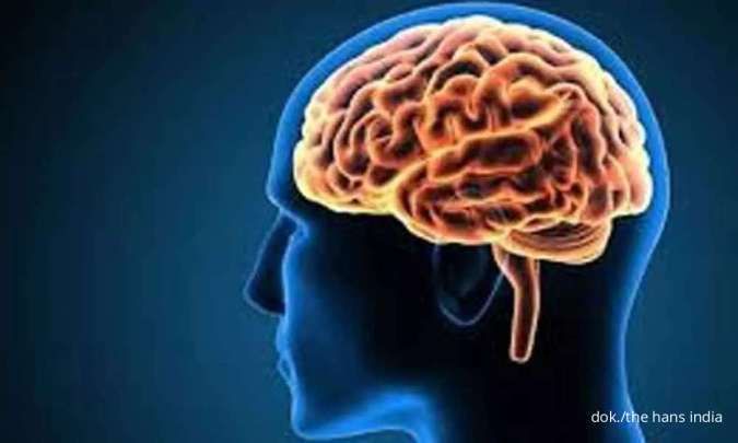 Apa Penyebab dan Ciri-ciri Mati Batang Otak? 