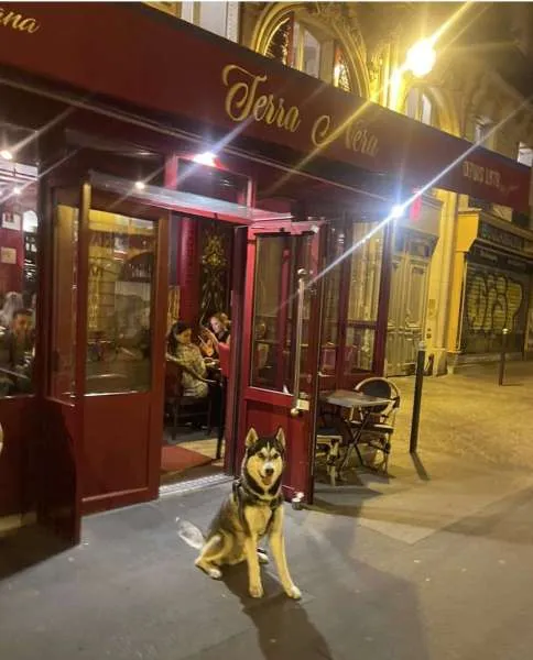 Terra Nera Emily in Paris