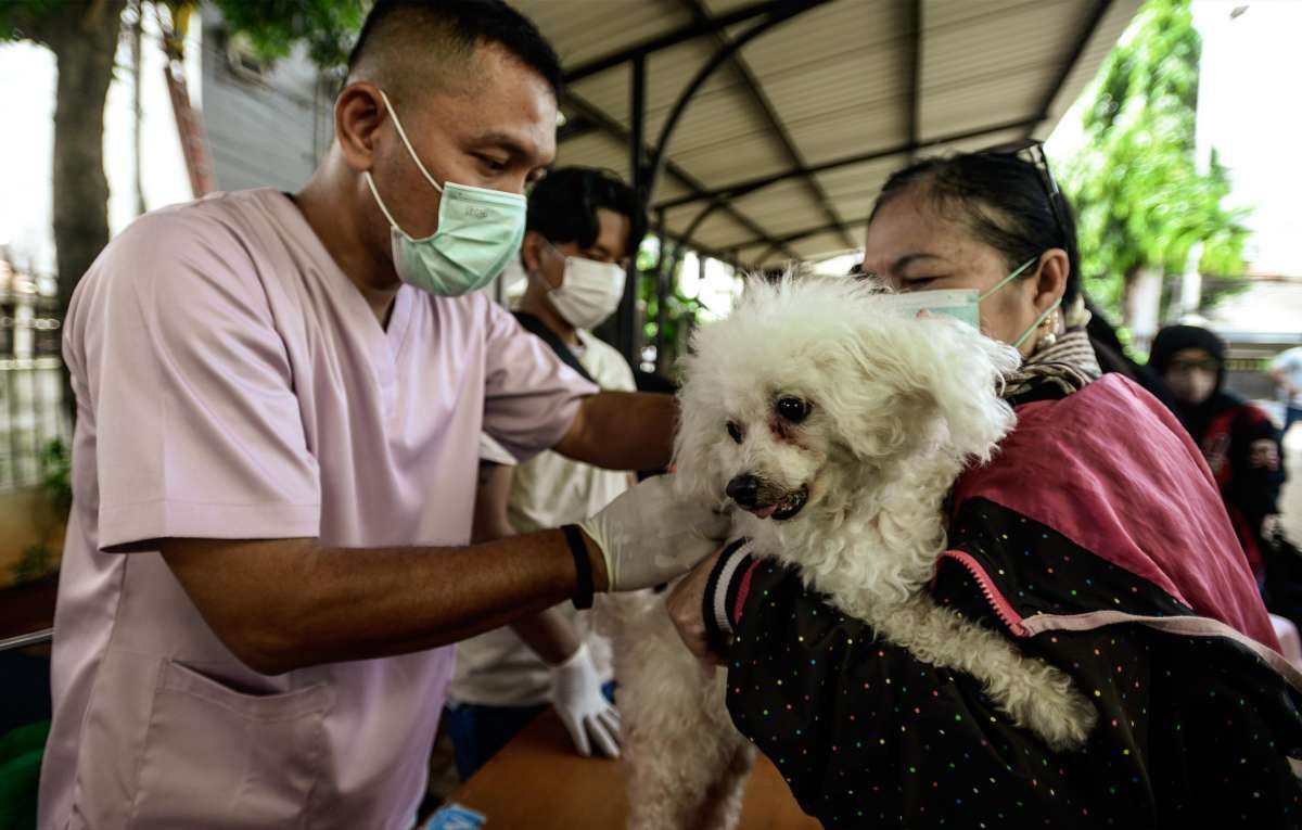 Vaksinasi Rabies Gratis bagi Hewan Peliharaan