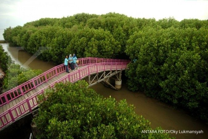 BRGM dorong peranan pemuda dalam menjaga gambut dan mangrove