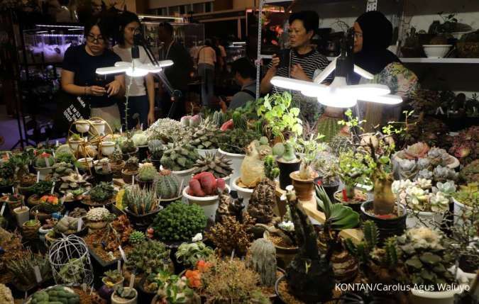 6 Tanaman Hias Unik yang Bikin Rumah Lebih Estetik yang Mirip seperti Galeri Seni