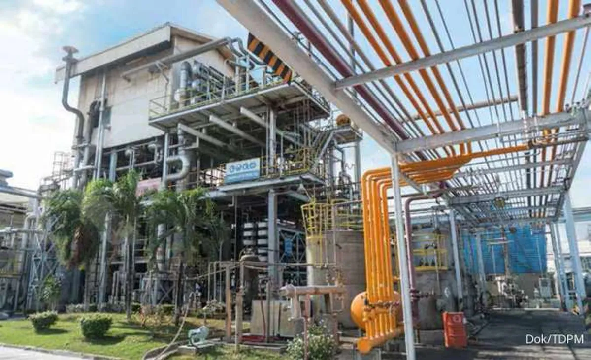Begini skenario restrukturisasi utang Tridomain Performance Materials (TDPM)