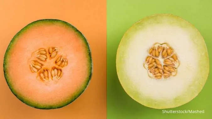 Perbedaan Melon Madu dan Blewah