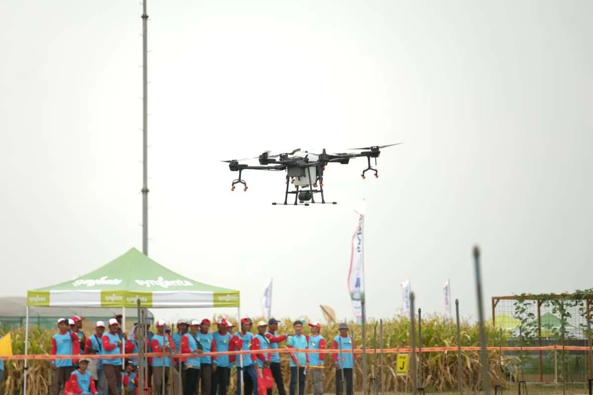 Syngenta Luncurkan Teknologi Baru untuk Kendalikan Hama Penggerek Batang Padi Kuning