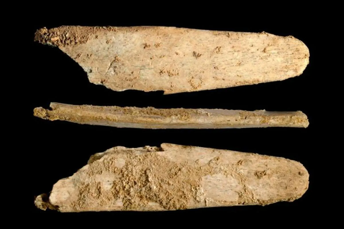 Ini buktinya, manusia purba Neanderthal lebih cerdas dari perkiraan sebelumnya