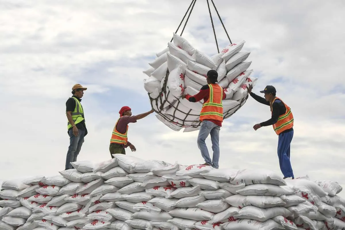 Begini Usulan AGI Agar Pasokan dan Harga Gula Dalam Negeri Terkendali