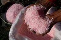 China Perketat Ekspor Pupuk, Siap-Siap Ada Kelangkaan