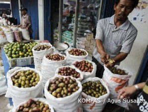 Pemerintah bikin tiga kluster ekonomi di Papua