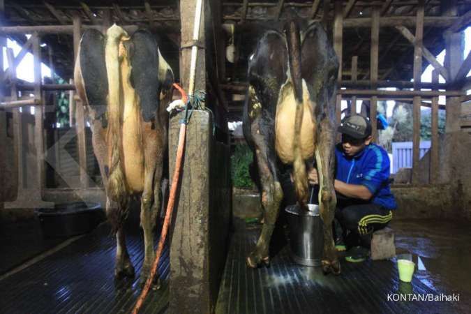 Menanti Formula Tepat Aturan Pengembangan Koperasi