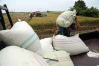 Harga Beras di Atas HET, Bapanas Siapkan Sanksi hingga Cabut Izin Usaha