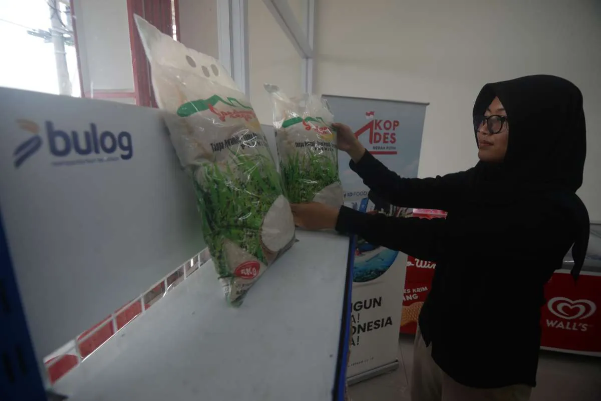 DPR dan Pemerintah Godok Bulog Jadi Badan Otonom, Perkuat Kendali Negara atas Pangan