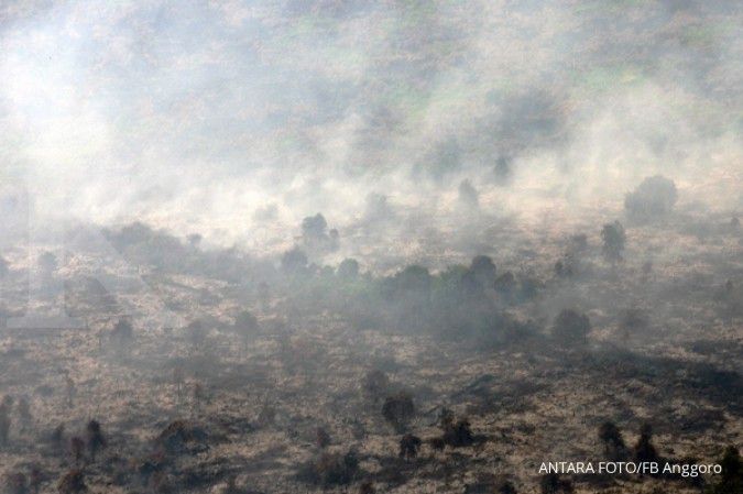 Kebakaran melahap 5 ha lahan gambut di Dumai