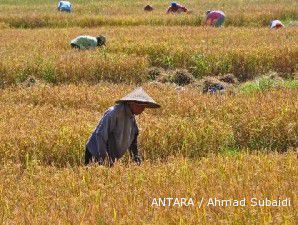UPDATE: Pemerintah restui Bulog impor beras 300.000 ton
