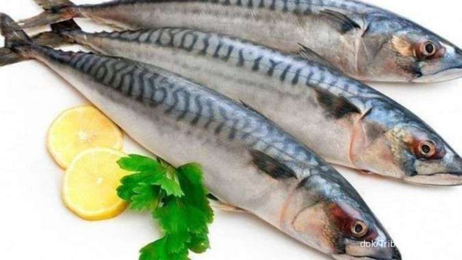 7 Ikan Berlemak yang Efektif Menurunkan Kolesterol Tinggi 