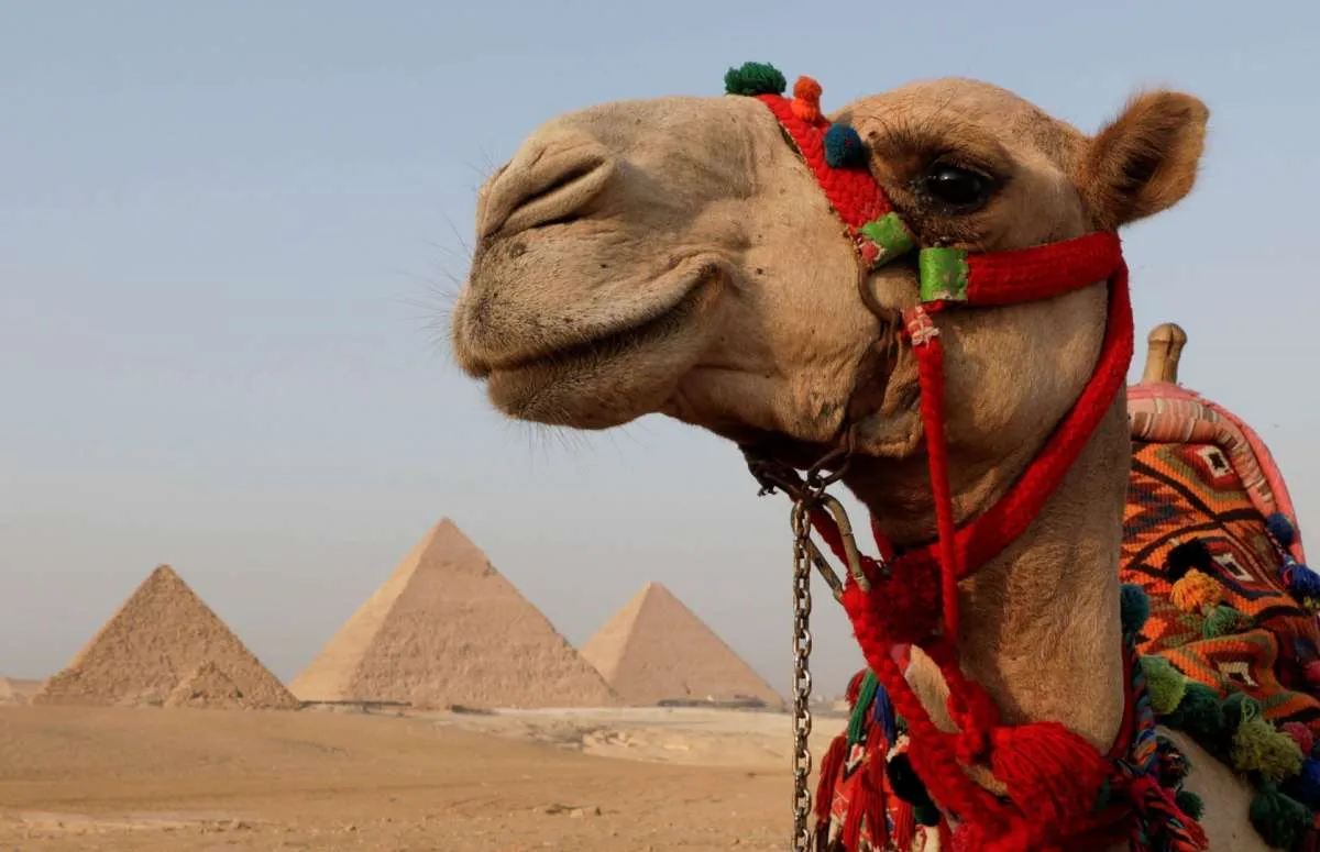 10 Situs Warisan Dunia UNESCO Terpopuler yang Wajib Anda Kunjungi