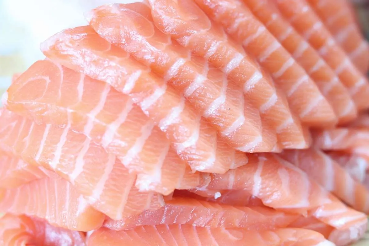 Catat 5 Jenis Ikan untuk Menurunkan Tekanan Darah Tinggi