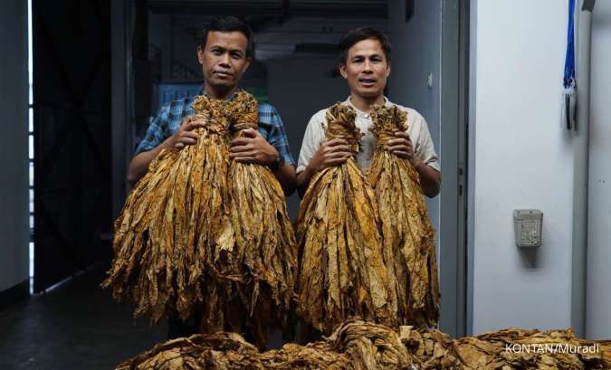 Jutaan Pekerja Industri Hasil Tembakau Terancam PHK Massal, Ini Pemicunya!