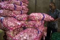 Atasi Gejolak Harga, Badan Pangan akan Tetapkan Harga Acuan Pembelian Bawang Putih