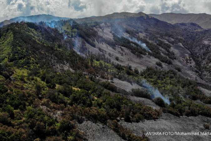 Diduga Penyebab Banjir Jabodetabek, Kemenhut Awasi 50 Properti di Hulu DAS