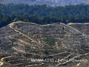 Membandel, KLH kirim 7 perusahaan ke pengadilan