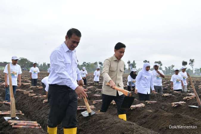 Wapres: Swasembada Tebu di Tanah Air Ditargetkan Pada 2027 Mendatang