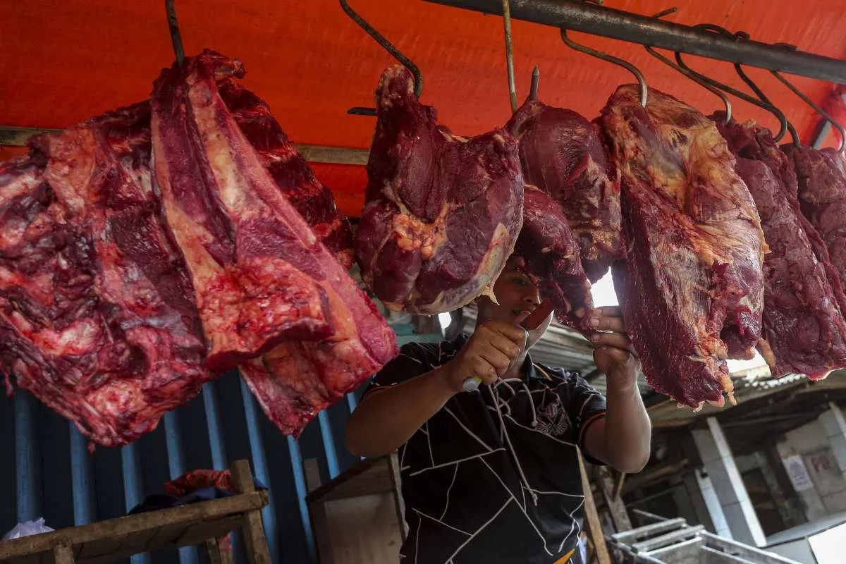 Soal Impor Daging Kerbau, Mendag Budi: Lagi Persiapan Verifikasi