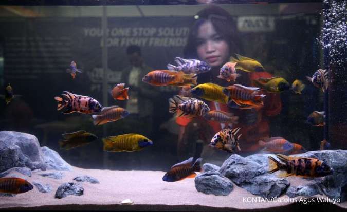 FishPreneur 2025, Strategi Cppetindo Kembangkan Industri Ikan Hias Nasional