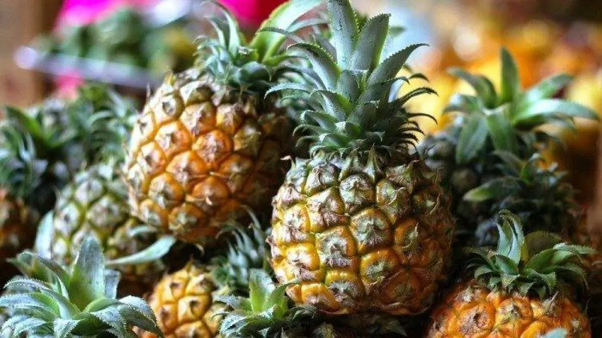 Membantu Menurunkan Berat Badan, Kenali 6 Manfaat Buah Nanas Untuk Kesehatan