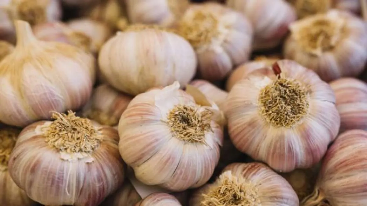 Satu Rempah Dapur Ini Terlarang Bagi Penderita Asam Lambung