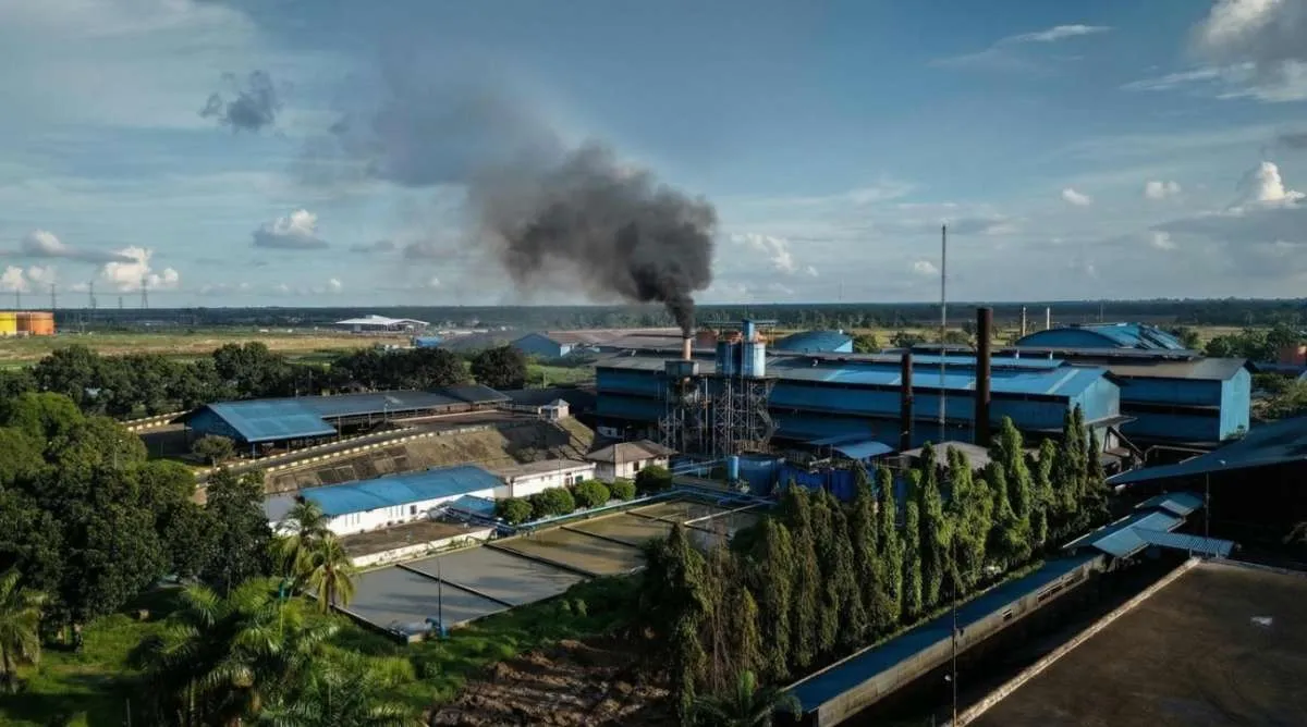 PTPN IV PalmCo Raup Laba Bersih Rp 3,23 Triliun pada Semester I 2026