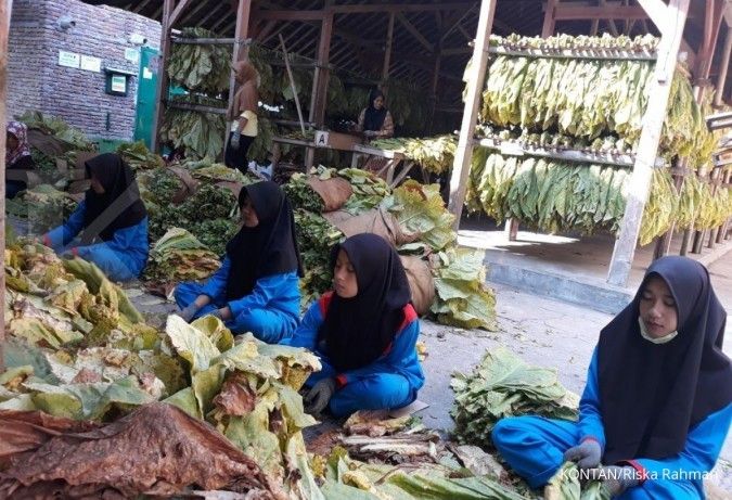 27.500 petani tembakau menjadi mitra Sampoerna