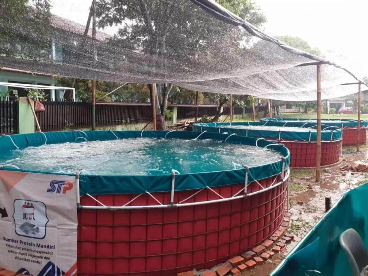 Promosikan Budidaya Ikan Berkelanjutan, STP Dampingi PPAD Kelola Kolam Sistem Bioflok