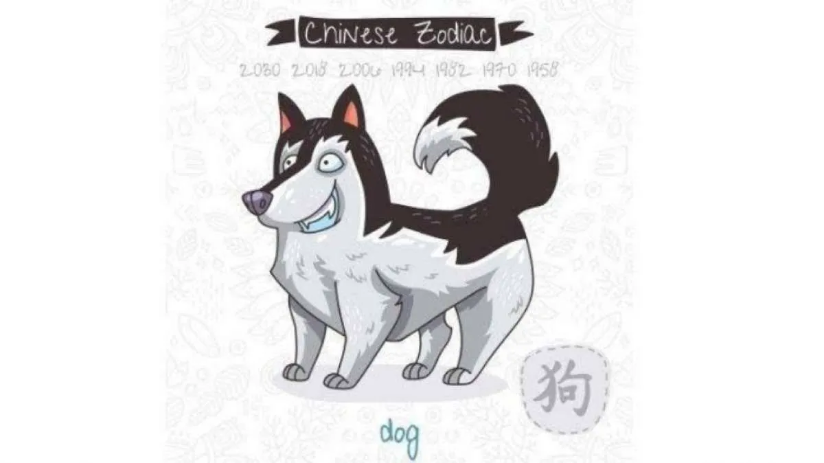 Peruntungan Shio Anjing Tahun 2024: Karier, Keuangan dan Asmara 