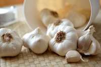 Ada 63 Importir Bawang Putih yang Belum Memenuhi Aturan Wajib Tanam di Dalam Negeri