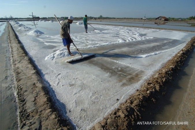Pemerintah buka kran impor garam 75.000 ton