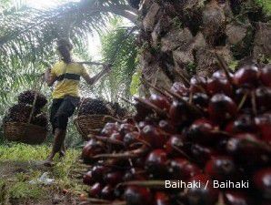 Harga CPO melorot mendekati level terendah dalam tiga bulan