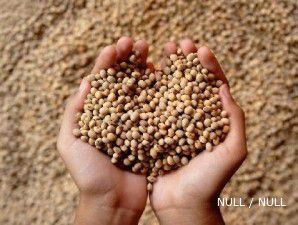 Cuaca panas bikin harga kedelai dan jagung melambung