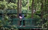 9 Wisata Gratis di Bandung yang Estetik, Sudah Tahu?