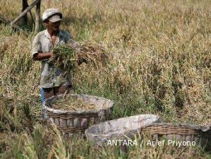 Januari, harga gabah kering panen naik naik 9,29%