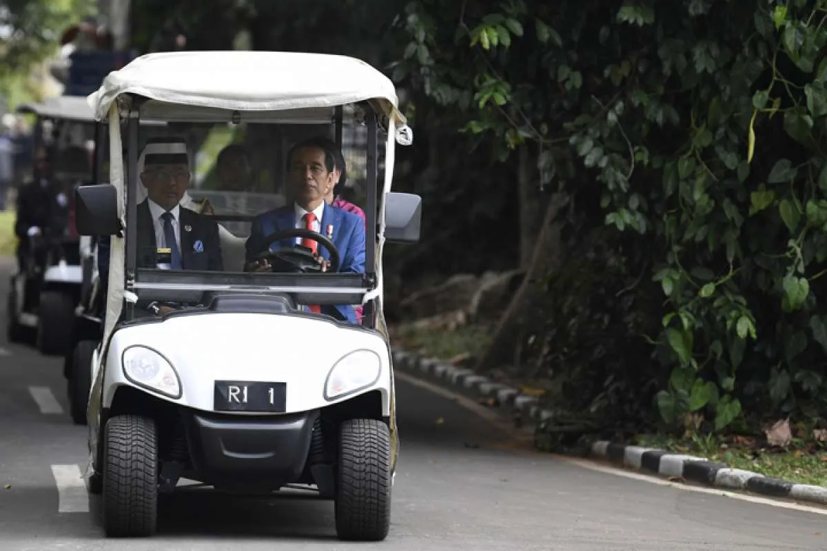 Indonesia - Malaysia gunakan ASEAN tangkal diskriminasi sawit oleh Uni Eropa