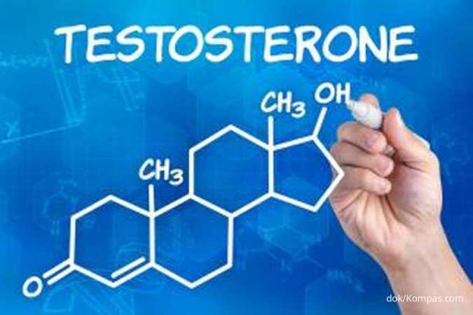 7 Makanan Ini Membantu Meningkatkan Kadar Testosteron pada Laki-Laki 