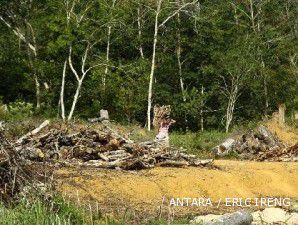 Penerimaan Sewa Pinjam Hutan Hanya Rp 213 Miliar