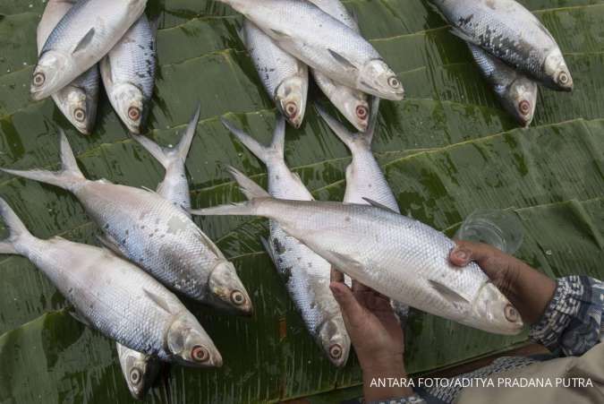 Upaya KKP Mendorong Industri Pengolahan Ikan Asal Bandung Naik Kelas