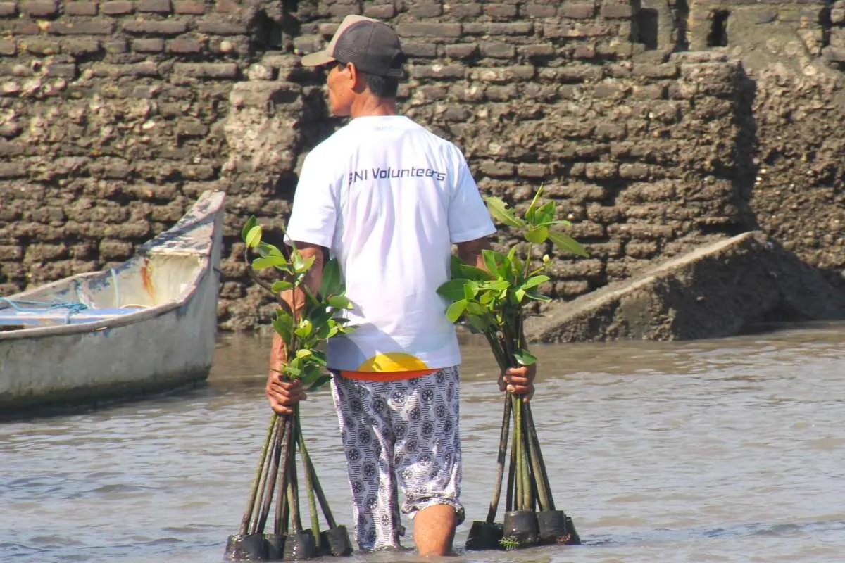 Hari Mangrove Sedunia Jadi Momentum BNI Perkuat Komitmen Lingkungan & Ekonomi Pesisir