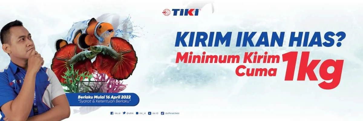 Kabar Gembira Bagi Penghobi Ikan Hias: Kirim dengan TIKI, Bebas Minimum Berat
