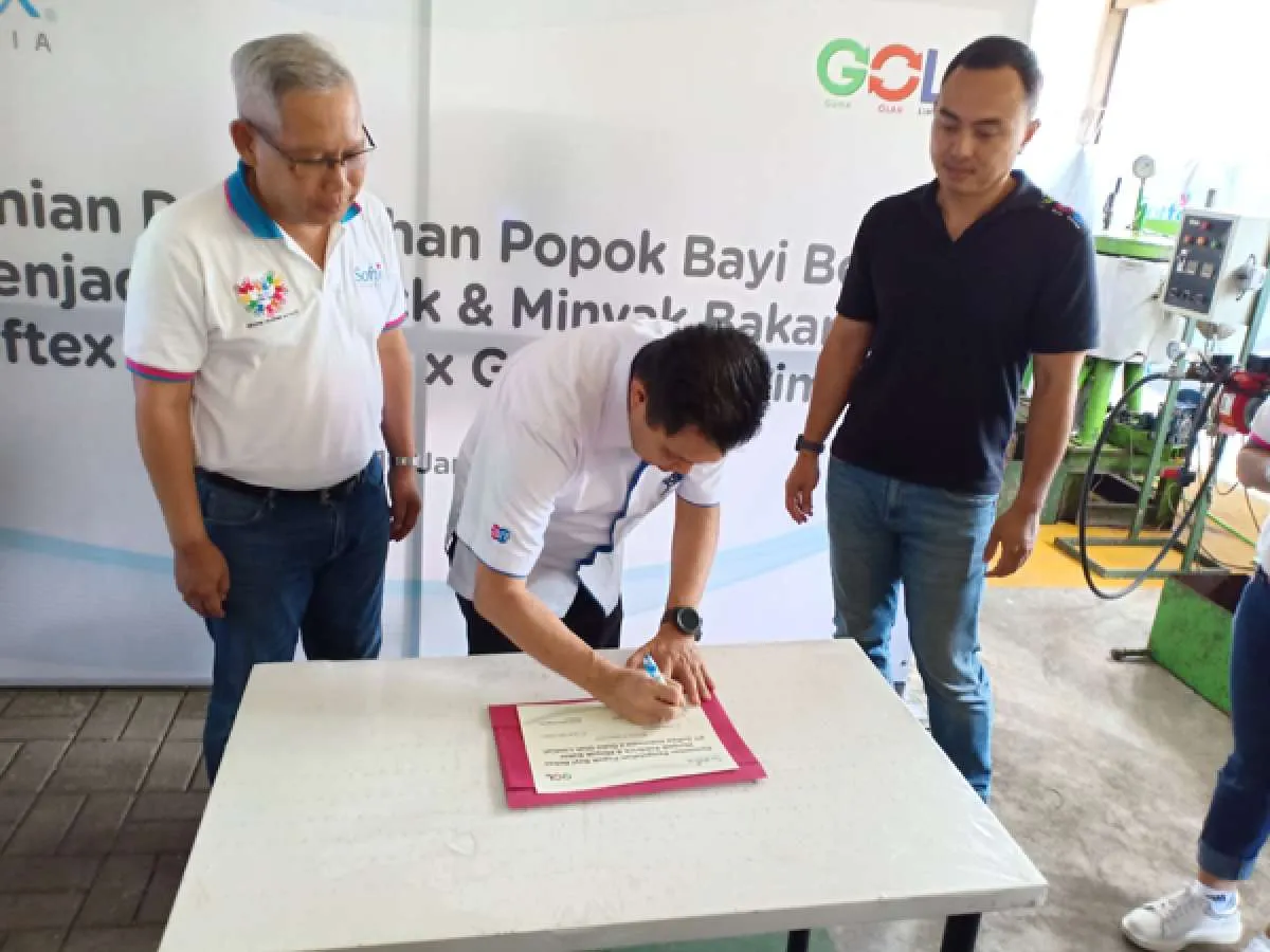 Softex Indonesia masih review rencana IPO