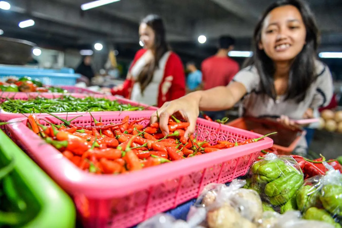 Pemerintah Waspadai Ancaman El Niño terhadap Harga dan Inflasi Pangan