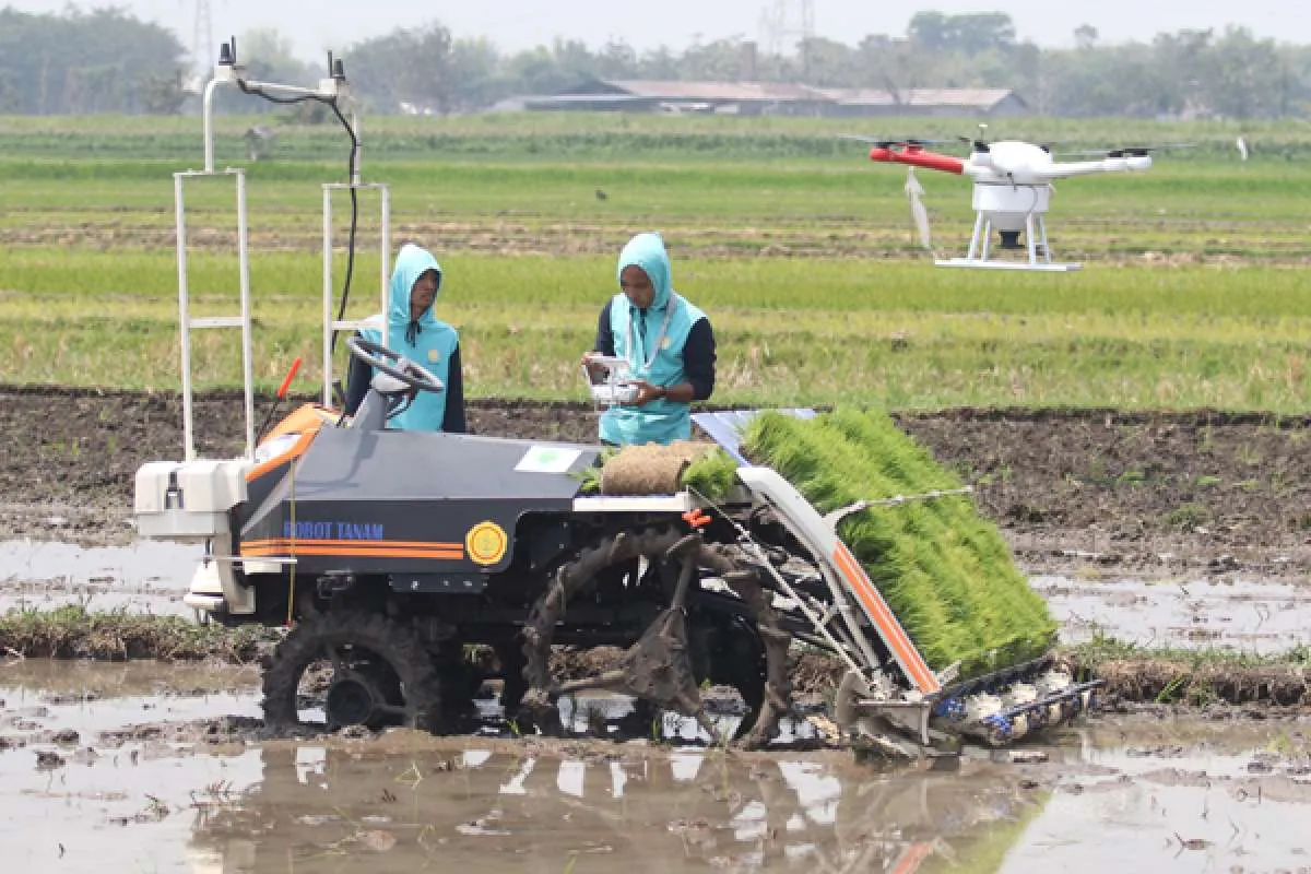 Prabowo Tanam Padi Pake Drone di Sumsel, Diklaim Mampu Tingkatkan Produksi 25%