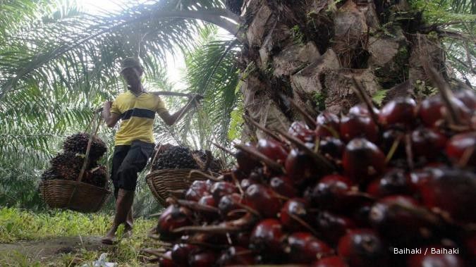 Saham BWPT melaju seiring rencana ekspansi